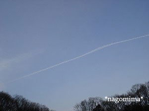 王禅寺070121