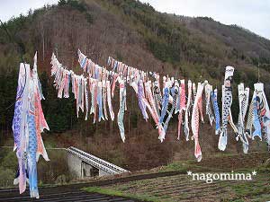 やる気のない鯉のぼり
