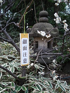 顔面注意