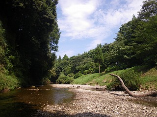 柿山田 川の風景