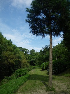 柿山田 場内の風景