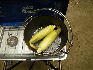 とうもろこし 1