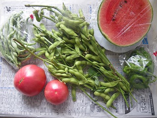 いただいた野菜たち