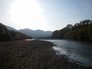 川の風景