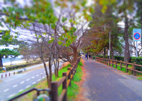 Effectplus_20160319_140820.jpg