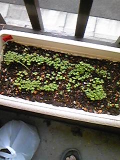 090927_0832~03.jpg