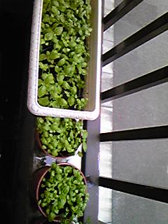 120629_0624~02.jpg