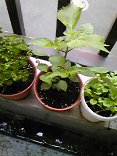 120629_0623~05.jpg
