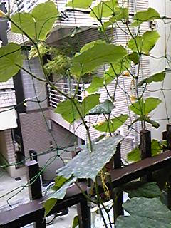 120629_0623~03.jpg