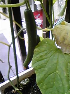 120629_0623~01.jpg