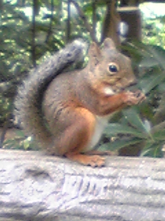 090902_132503.jpg