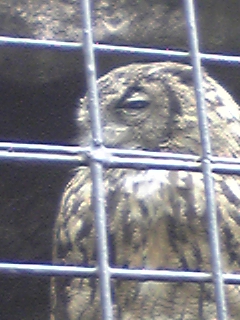 090902_122203.jpg