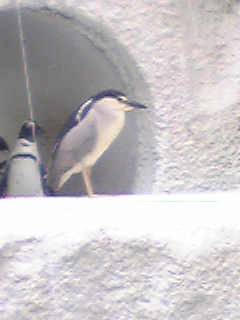 090915_120542.jpg