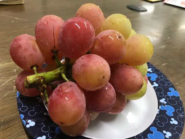 20181005_1524017.jpg