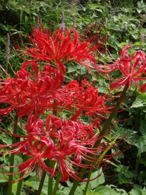 DSC00372.JPG