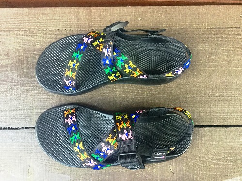 Chaco Grateful Dead 【昭島アウトドアヴィレッジ店】 | A&F Chaco Grateful Dead 【昭島アウトドアヴィレッジ店】 | A&F