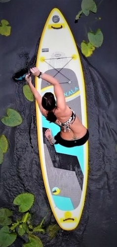 hala-gear-paddle-board-brand-banner.jpg