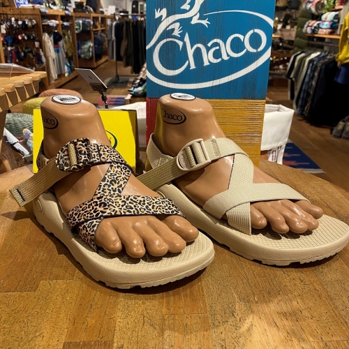 Chaco はなぜ足と環境に優しいのか」【本店】 | A&F カントリー