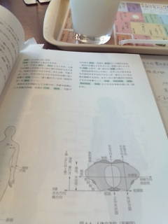 20080729121928.jpg