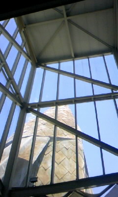 110625_105152.JPG