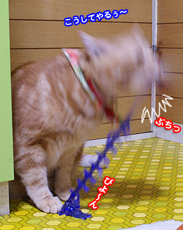 mukade1403.jpg