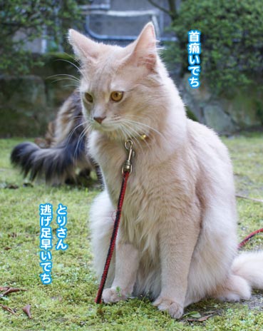 tori0921.jpg