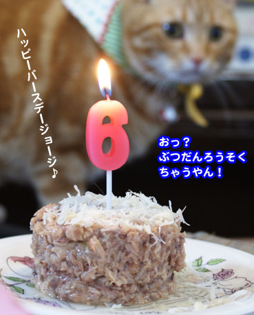 cake3031.jpg