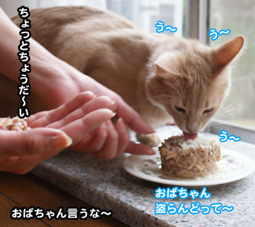 cake3042.jpg