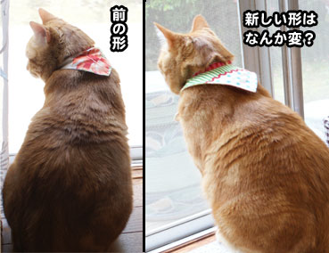bandana3132.jpg