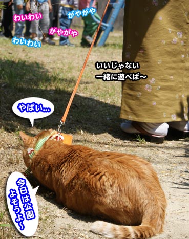 kodomo2653.jpg