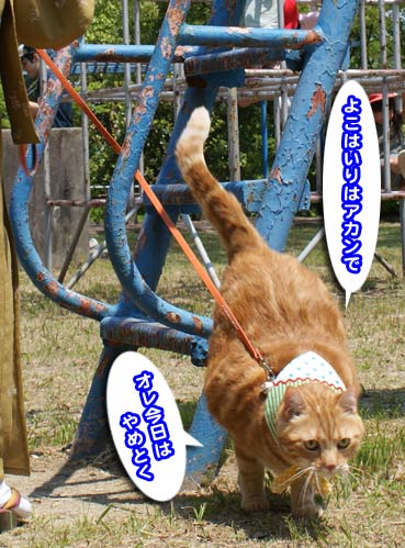 kodomo2669.jpg
