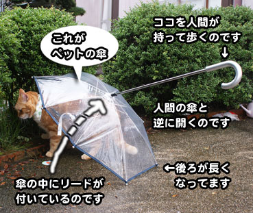 kasa0334.jpg