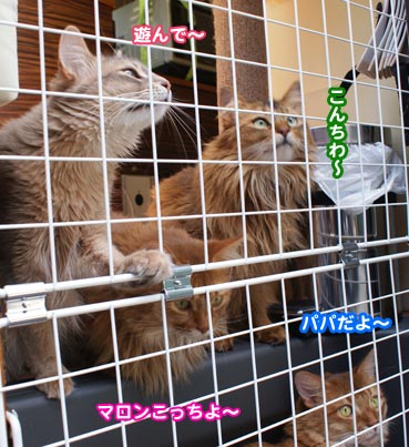 DSC01057.jpg