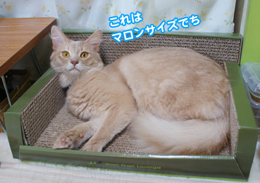 garigari0040.jpg