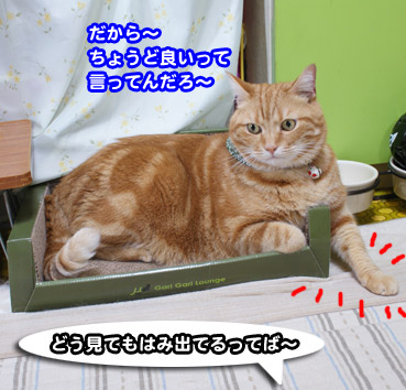 garigari0222.jpg