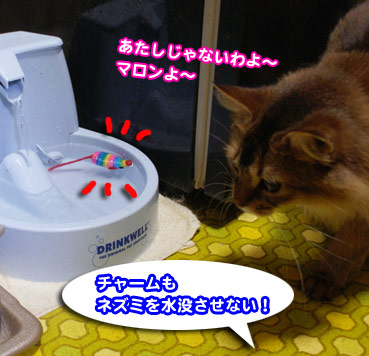 suibotu2085.jpg