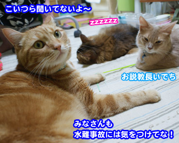 suibotu2134.jpg