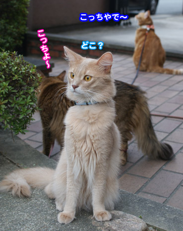 mushi3667.jpg