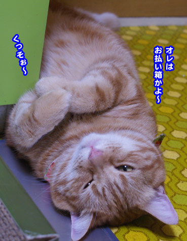 rihabiri6643.jpg
