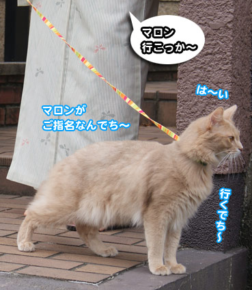 rihabiri7846.jpg