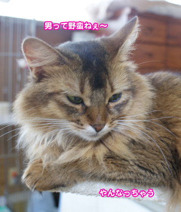 tobihi5437.jpg