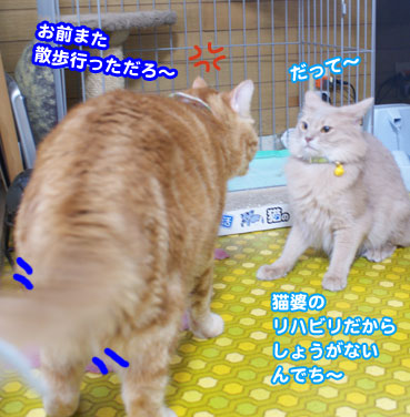 tobihi5716.jpg