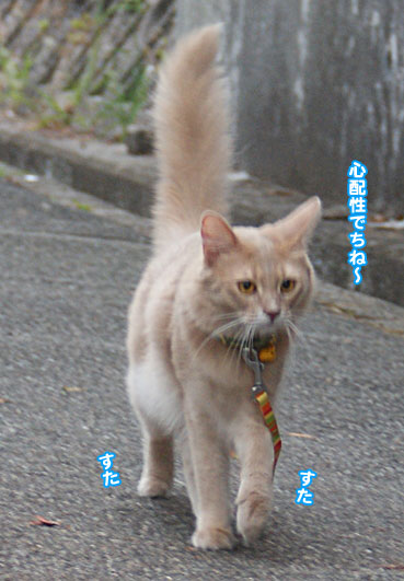 maro6175.jpg