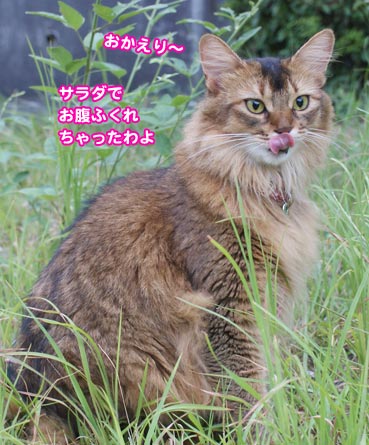 maro6235.jpg