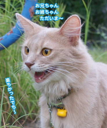 maro6244.jpg