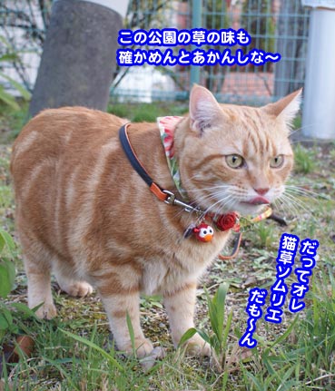 okuri0125.jpg