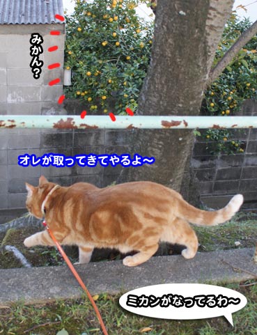 okuri0167.jpg