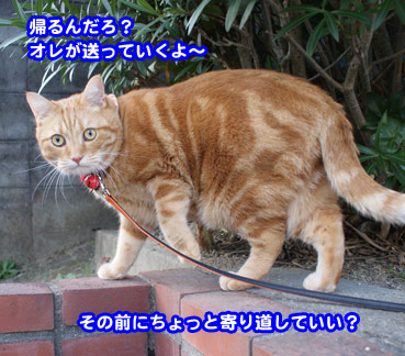 okuri0191.jpg