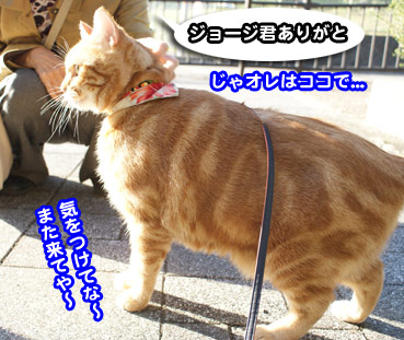 okuri0211.jpg