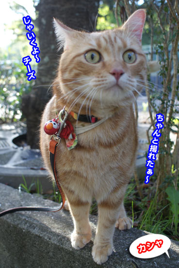 camera0221.jpg